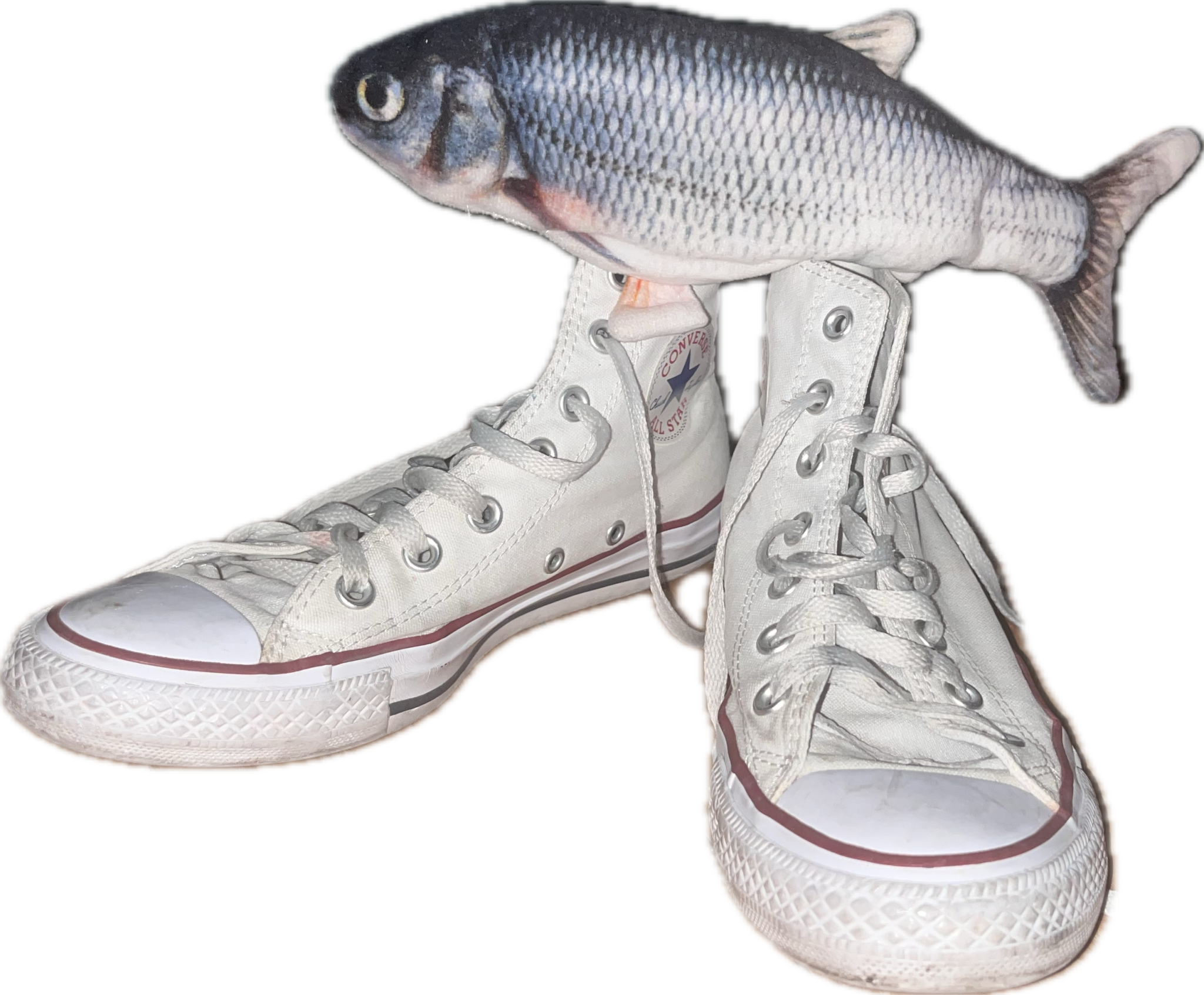 fish all decked out