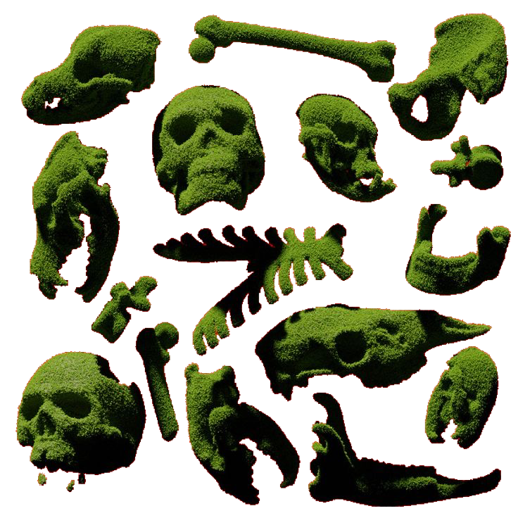 moss bones!